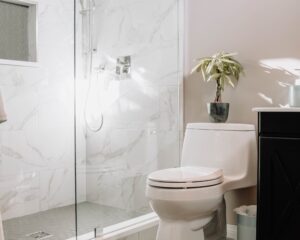 Conseils pratiques pour nettoyer et entretenir efficacement votre douchette WC