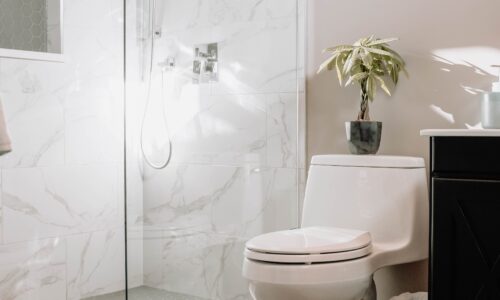 Conseils pratiques pour nettoyer et entretenir efficacement votre douchette WC