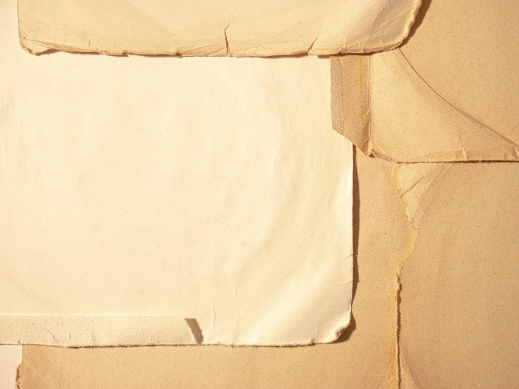 Innovation et style : les dernières tendances en matière de porte-papier toilette