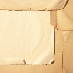 Innovation et style : les dernières tendances en matière de porte-papier toilette